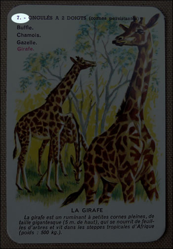 Structure de la carte 1